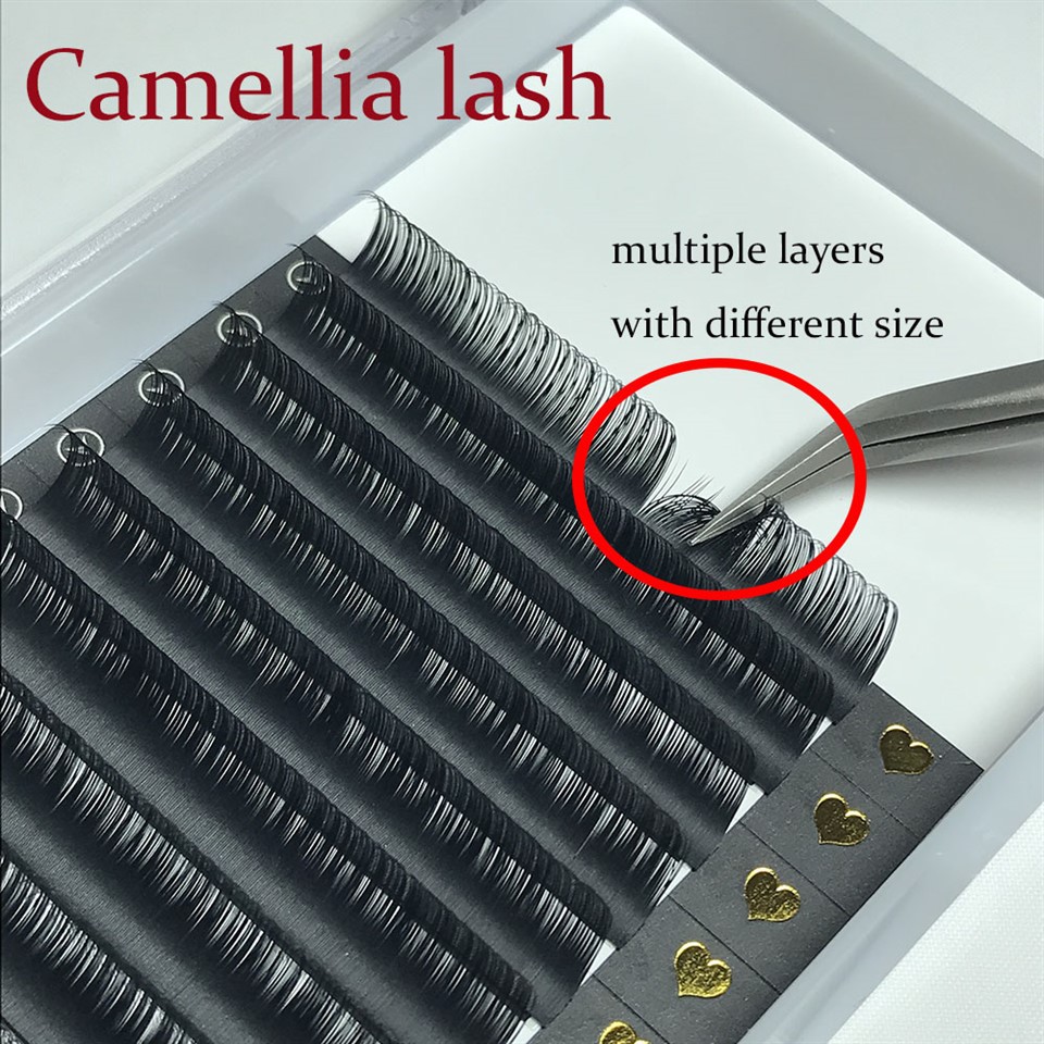 βλεφαρίδα Camellia