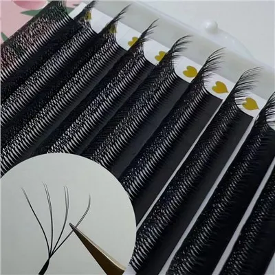 Οι οπαδοί του Lash Premade