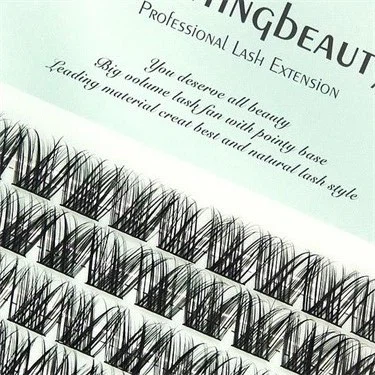 IMG317720240226-104035 IMG317720240226-104035